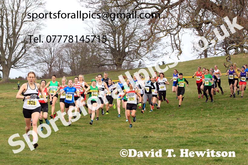 Senior Womens 2023 NEHL, Alnwick, Northumberland. Photo: David T. Hewitson/Sports for All Pics